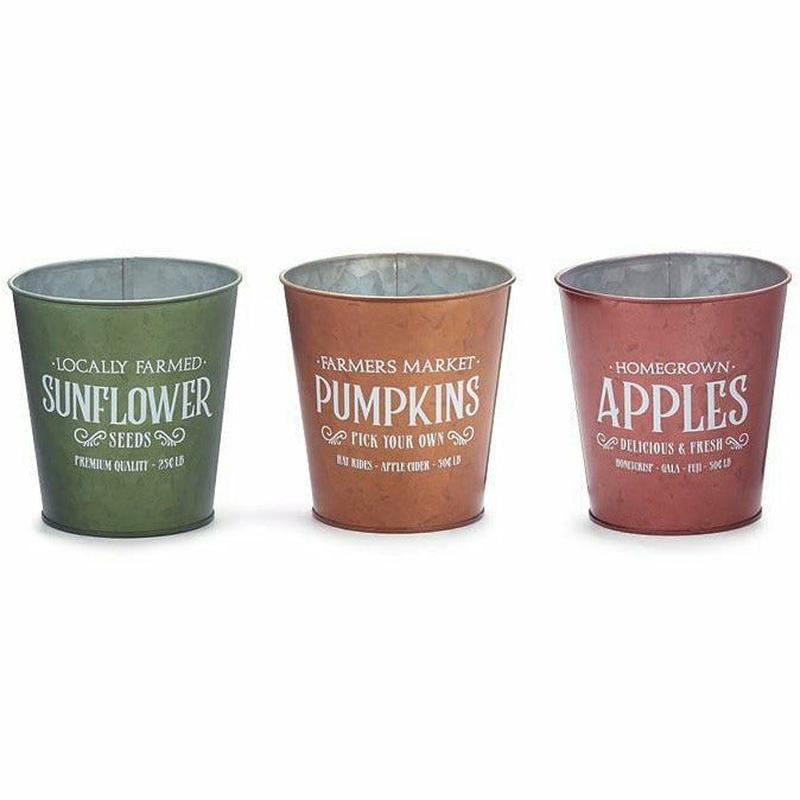 4" Fall Market Pot Cover Individual and Assorted